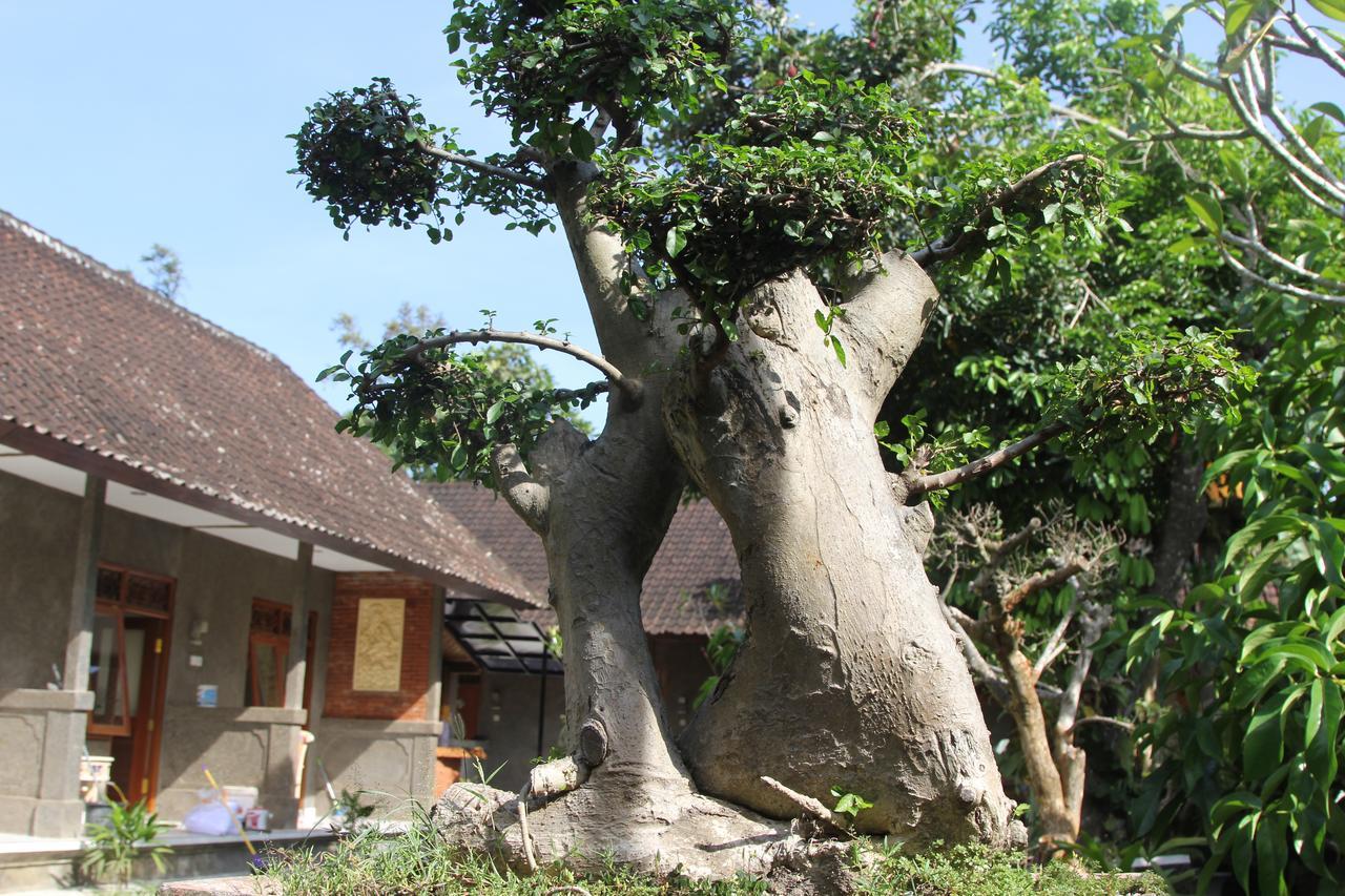 Jerogadung House Hotel Убуд Екстериор снимка